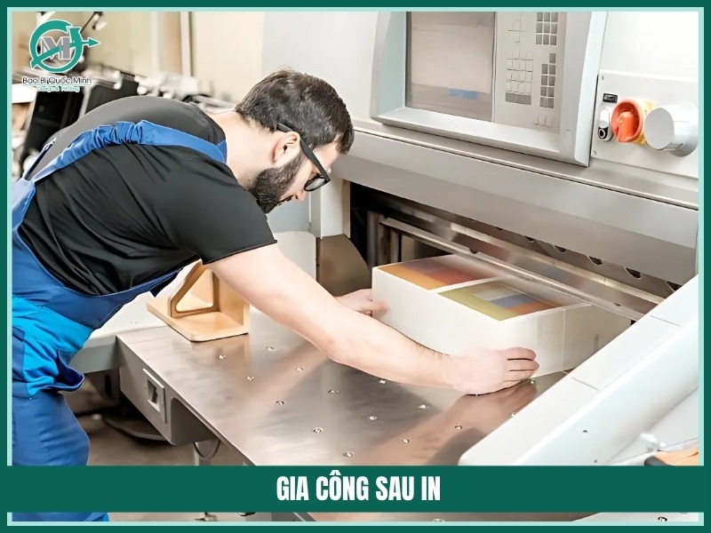Gia cong sau in