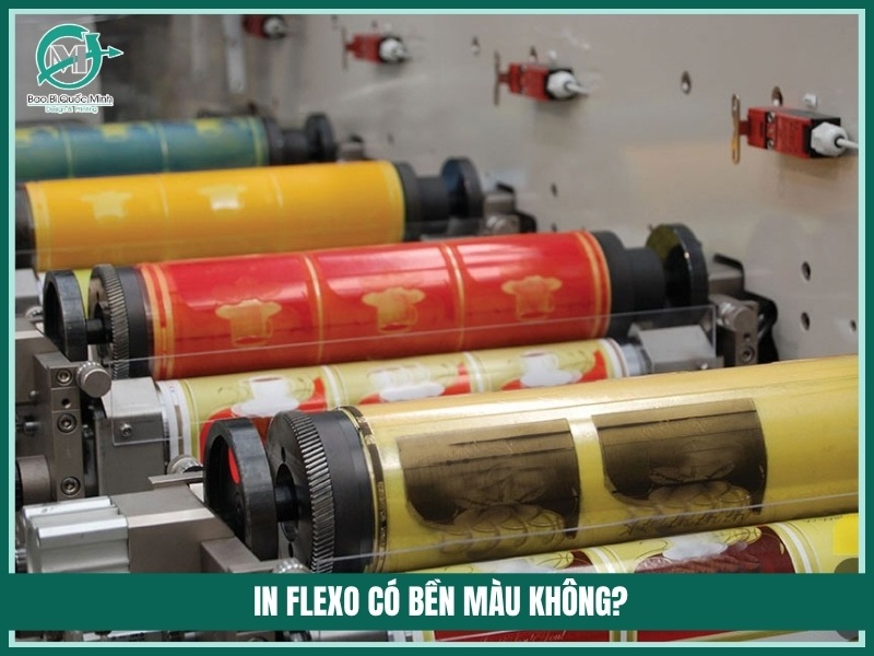 In flexo co ben mau khong