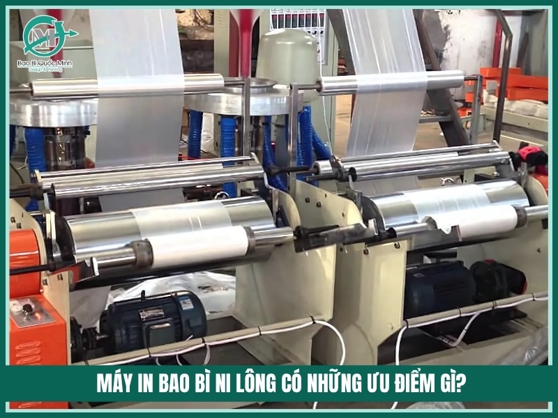 May in bao bi ni long co nhung uu diem gi