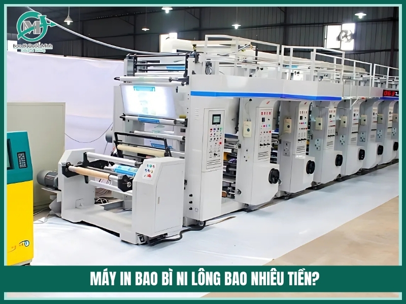 May in bao bi ni long bao nhieu tien